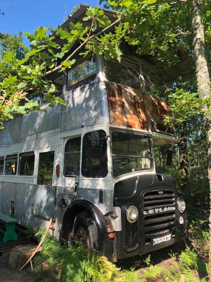 Cosmic English Bus 2 Floor Mimizan-Plage Εξωτερικό φωτογραφία